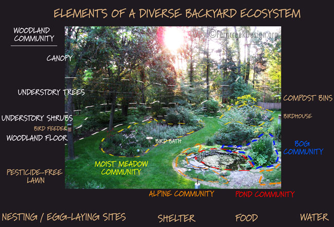 The Backyard Ecosystem Natural Landscaping Gardening And Landscape Design In The Catskills And Hudson Valley Including Ulster County Ellenville New Paltz Kingston And Woodstock